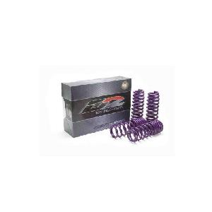 D2 Racing PRO Lowering Springs (D2-S-CHE-CAM-1621) Image